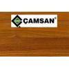 Çamsan